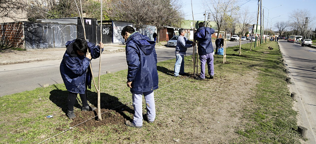 El municipio plantará miles de árboles en todo Almirante Brown