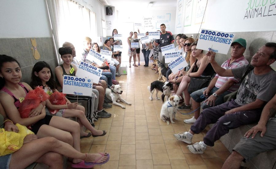 Zoonosis anunció nuevos operativos de castración de animales en los barrios