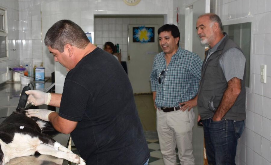 Municipios visitan zoonosis Brown tomándolo como modelo de sanidad animal en la provincia