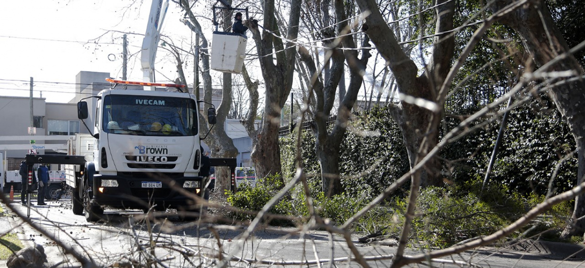 El municipio potencia los operativos de poda de seguridad y la instalación de luces led