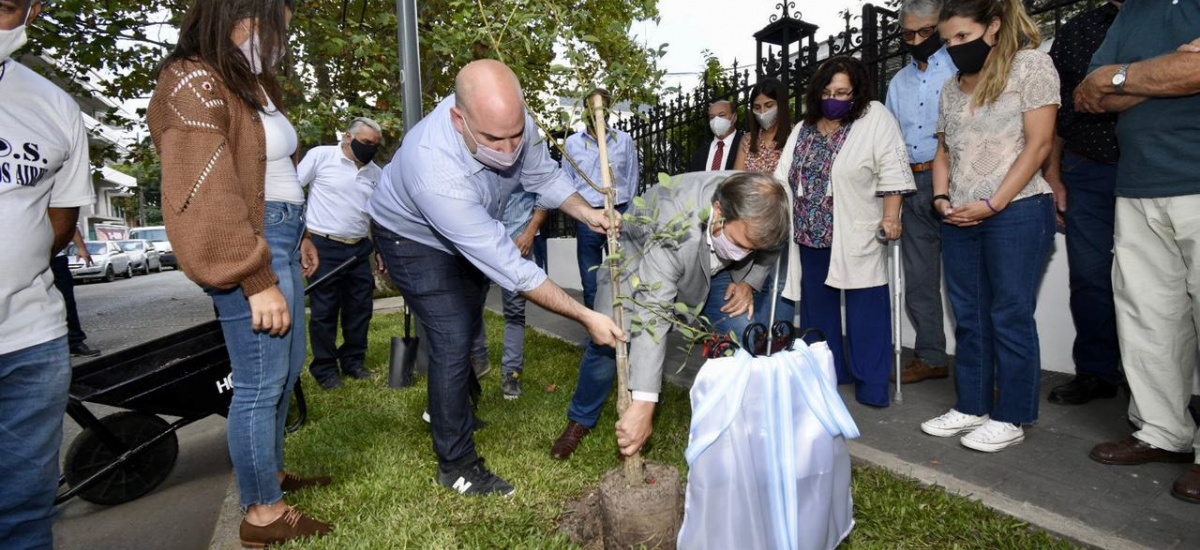 PLANTAMOS MEMORIA
