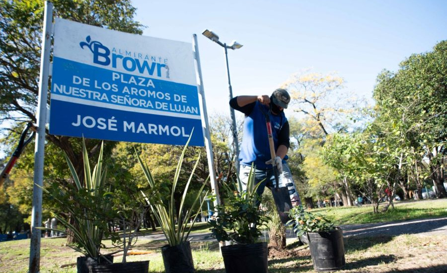 El Municipio avanza con la plantación de miles de árboles en Alte Brown