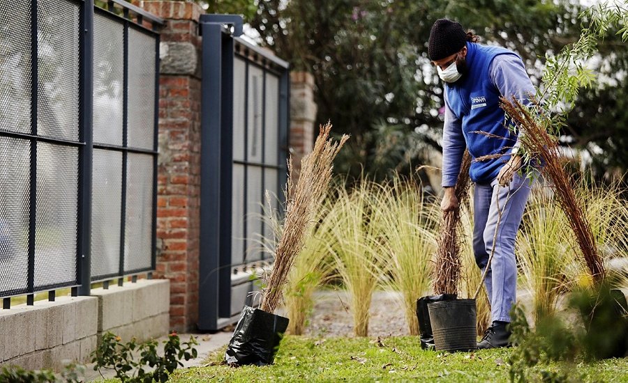 En el mes del ambiente, el Municipio plantó especies nativas en el Parque Industrial