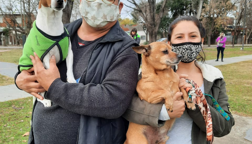 Más de 4 mil animales recibieron la vacuna antirrábica en dos megaoperativos de Zoonosis