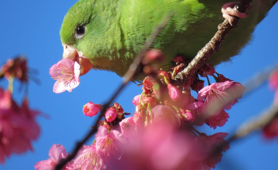 El Municipio difundió las increíbles imágenes ganadoras del concurso de Fotografía Ambiental