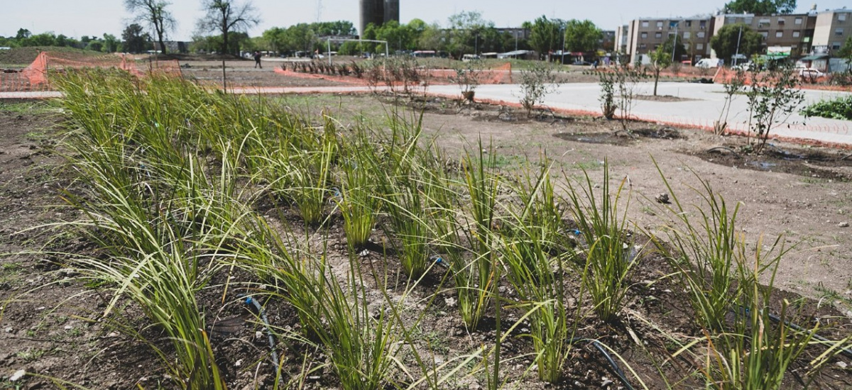 Con forestaciòn y más infraestructura avanzan las obras del Parque Don Orione de 8 hectáreas