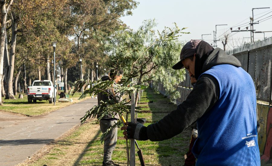 El Municipio realizó una gran jornada de forestación con especies nativas en la estación de Claypole