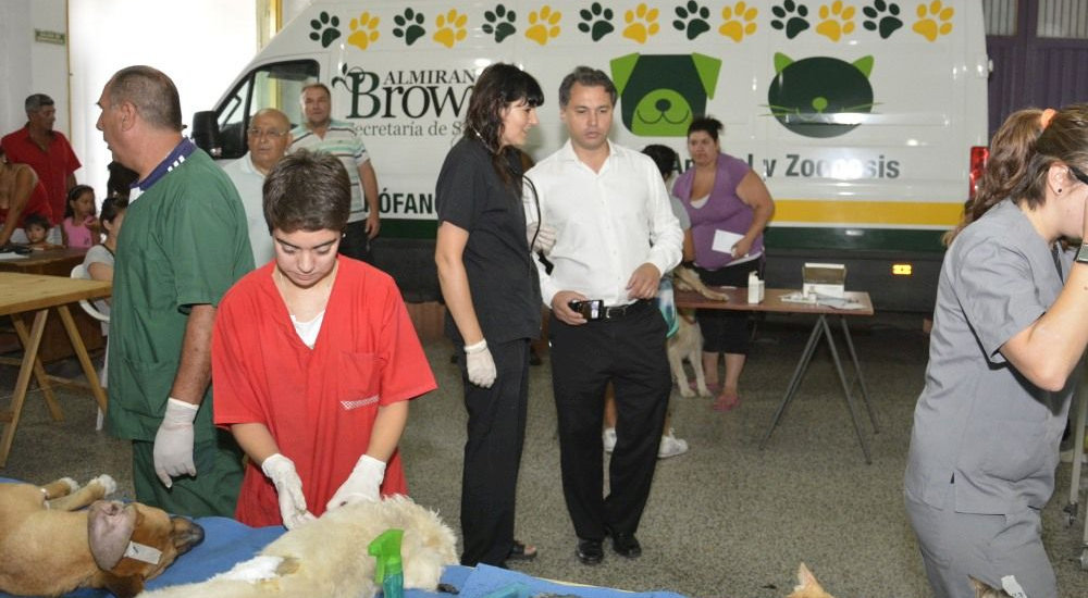 Operativo de castración de mascotas en Ministro Rivadavia